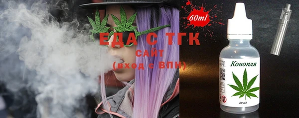 индика Гусь-Хрустальный
