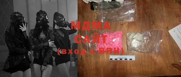 индика Гусь-Хрустальный