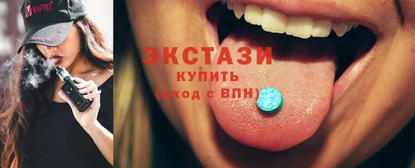 индика Гусь-Хрустальный