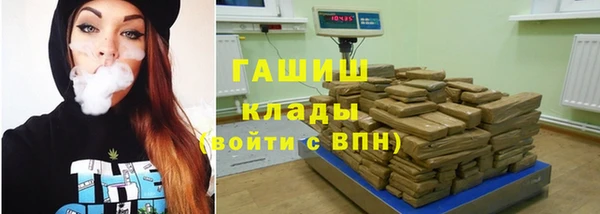 шишки Горно-Алтайск