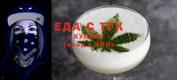 индика Гусь-Хрустальный