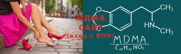 индика Гусь-Хрустальный