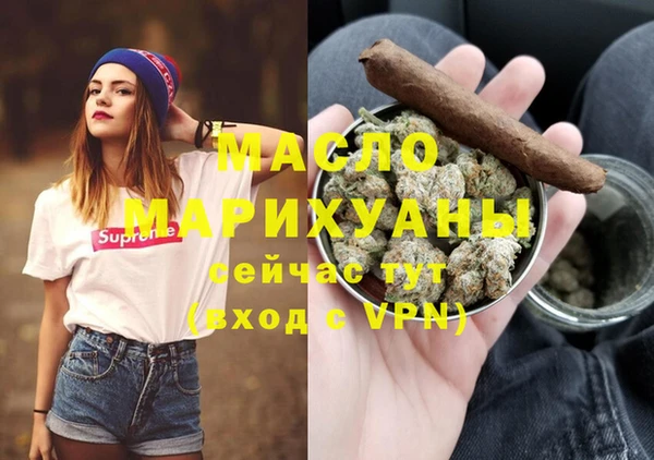 индика Гусь-Хрустальный
