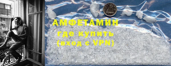 индика Гусь-Хрустальный