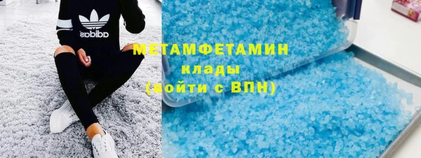 индика Гусь-Хрустальный