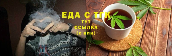 индика Гусь-Хрустальный