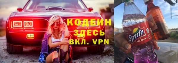 индика Гусь-Хрустальный