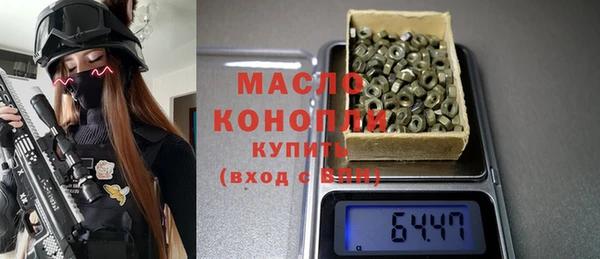 индика Гусь-Хрустальный