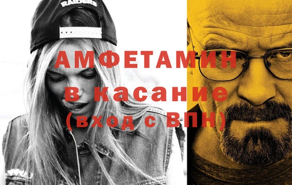 шишки Горно-Алтайск